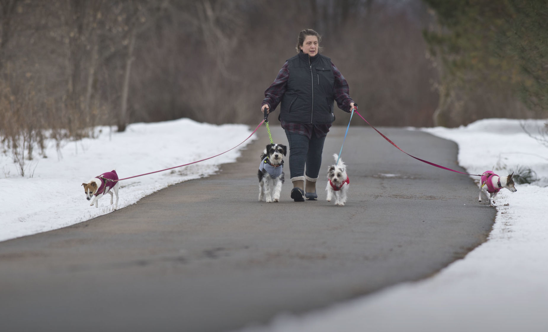 0129_wds_Remington Dog Walk_cl.jpg